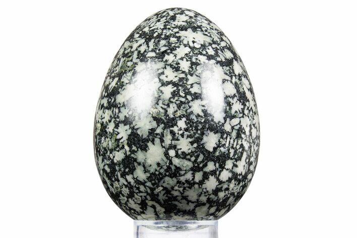 Polished Chinese Writing Rock Egg - Utah #334165